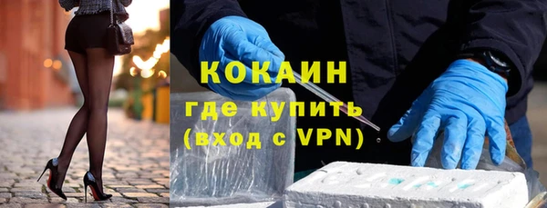 твердый Алексин