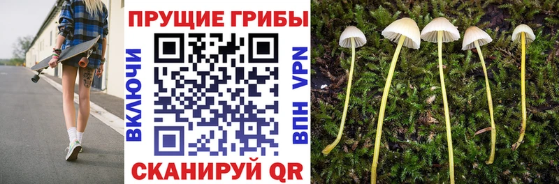 Псилоцибиновые грибы Cubensis MEGA маркетплейс Ишим